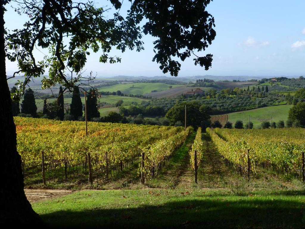 Fattoria Del Colle Villa Trequanda Exterior photo